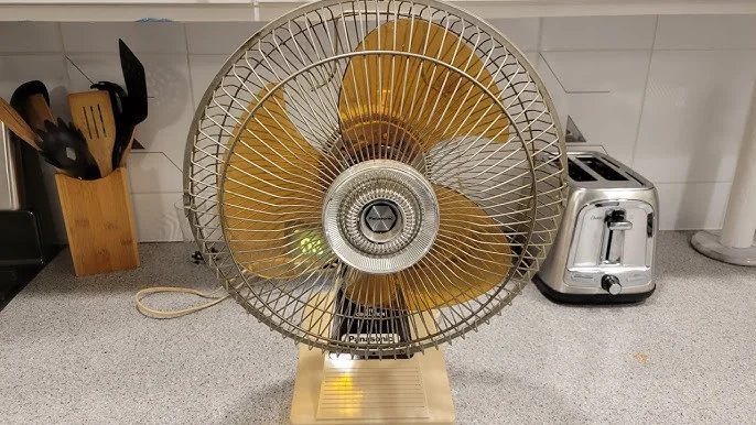 The Complete Electric Fan Buying Guide for a Cooler Home