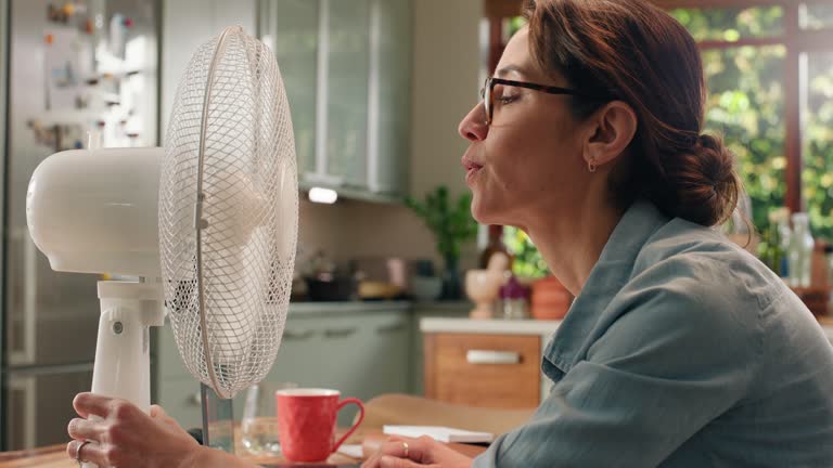 Your Guide to Using a Fan to Circulate Heat in Winter