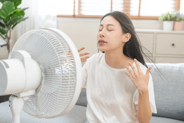 How to Lubricate a Fan Motor: The Ultimate Guide