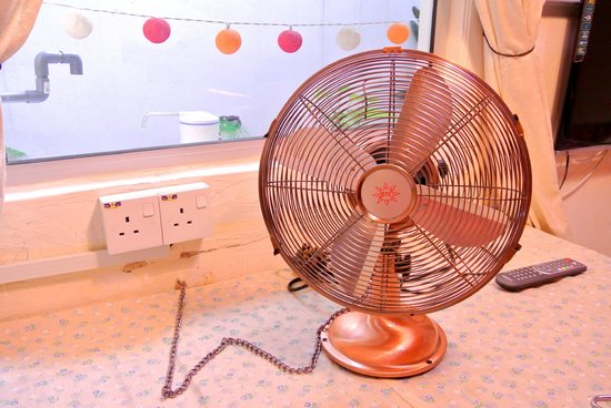 Tower Fan vs Pedestal Fan: Which One Should You Buy?