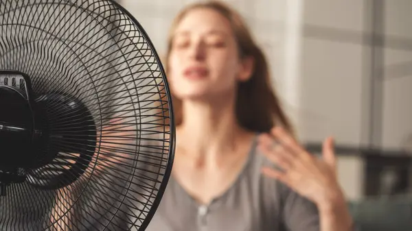 Air circulator moving air in a modern living room
