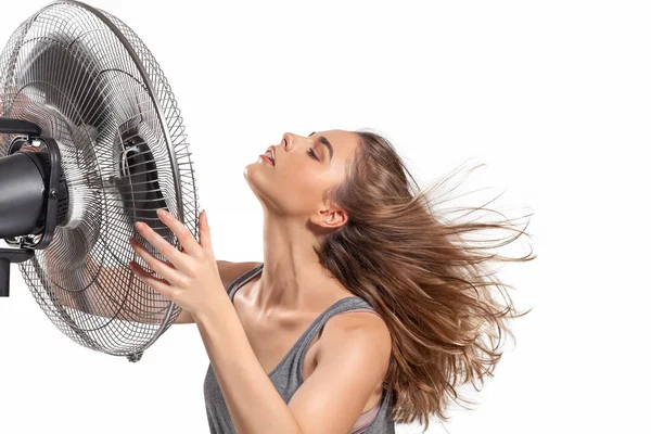 What to Look for in a Box Fan: The Ultimate Buyer’s Guide