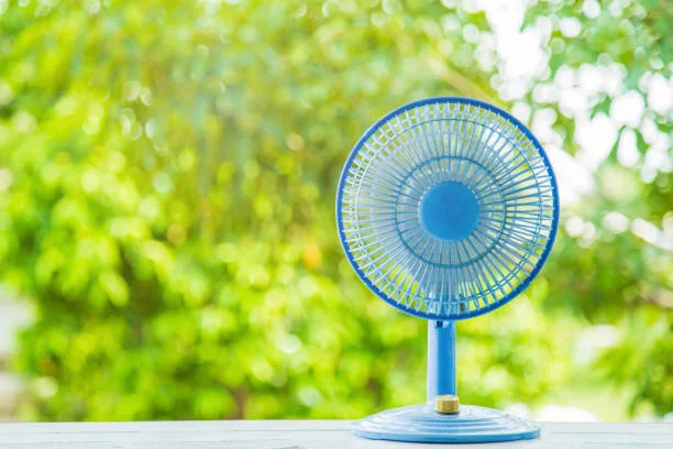 What to Look for in a Ceiling Fan: The Ultimate Guide