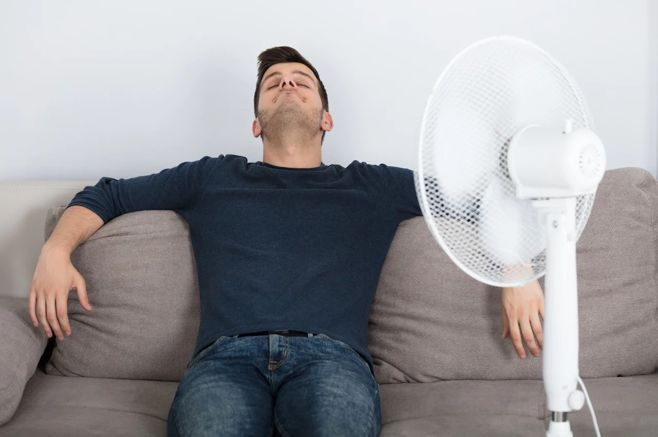 Minka Aire Ceiling Fan Review: Are They Worth The Hype?