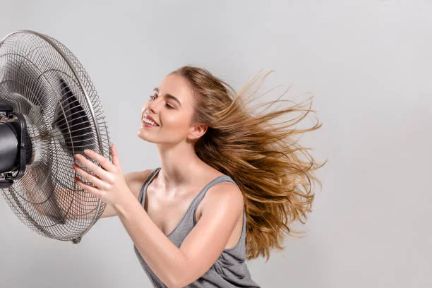A white pedestal fan providing air circulation in a room