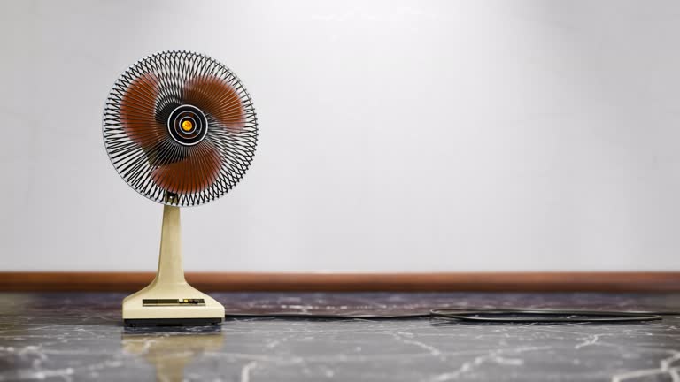 The Ultimate Rowenta Fan Review: Quiet, Cool, and Worth It?