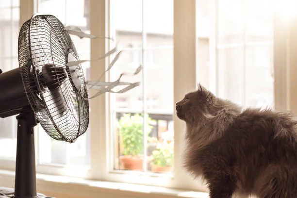 The Best Smart Fan: Your Ultimate Buyer's Guide