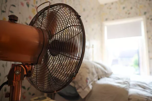 How to Make a Fan Quieter: 5 Simple Steps